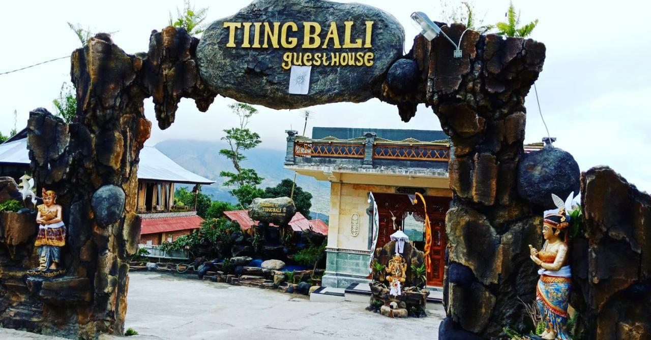 Tiing Bali Guest House Adventure Kintamani Exterior foto